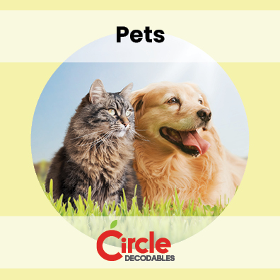 3.1 Pets