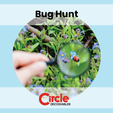 3.3 Bug Hunt