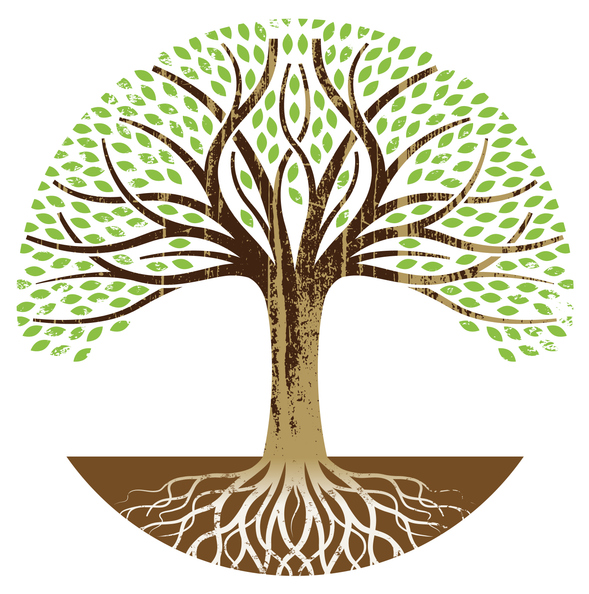 Image of a tree with many strong roots symbolizing the Children's Learning Institute's long history with reading research