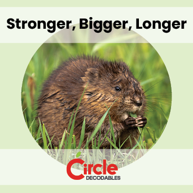 5.9 Stronger, Bigger, Longer