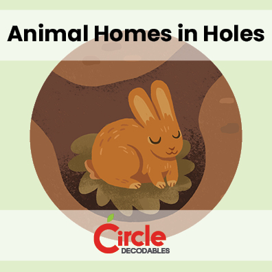 6.4 Animals Home in Holes