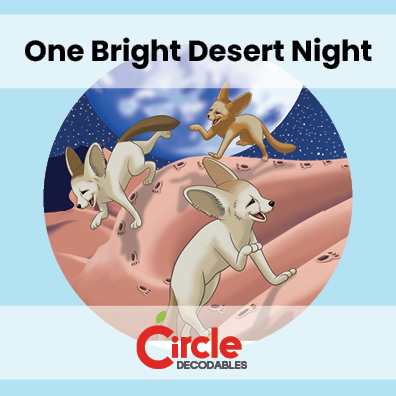 7.2 One Bright Desert Night
