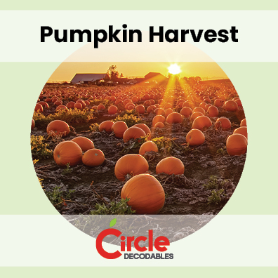 7.3 Pumpkin Harvest