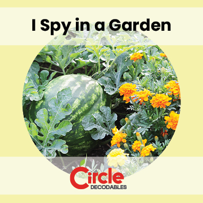 8.7 I Spy in a Garden