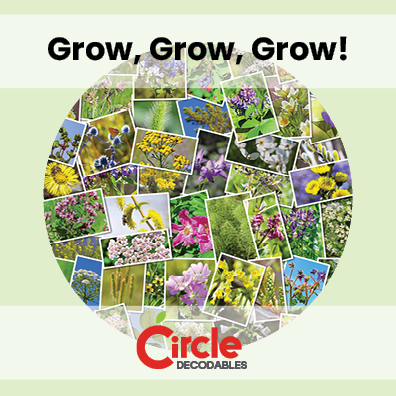 8.8 Grow, Grow, Grow!