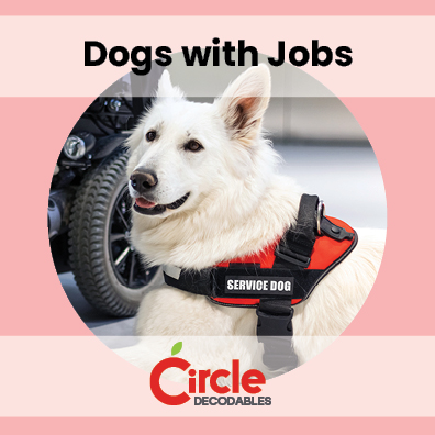 9.6 Dogs with Jobs