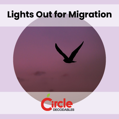 10.1 Lights Out for Migration