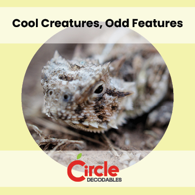 10.4 Cool Creatures, Odd Features