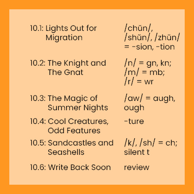 Set 10 Starter